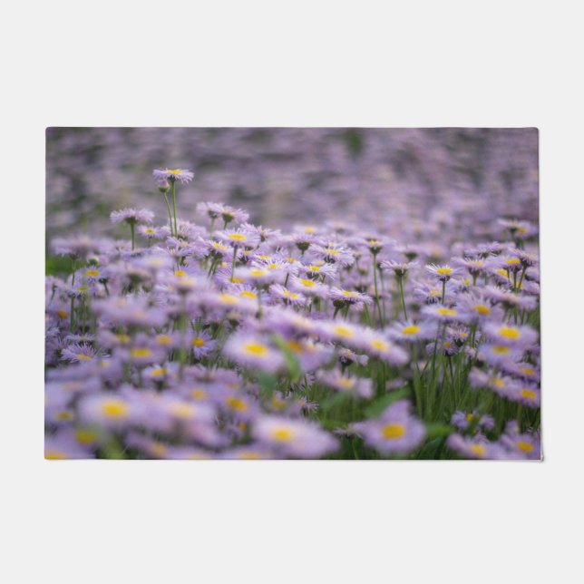 Felpudo Flores de Aster Púrpura (Anverso)