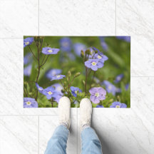Flores de jardín