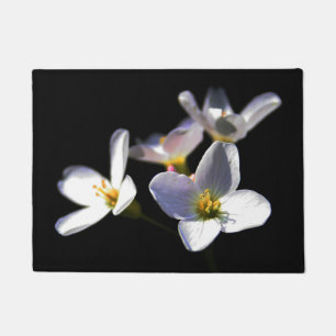 Felpudo Flores de pratensis cardamina dmcn