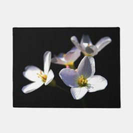 Felpudo Flores de pratensis de cardamina dmcnm