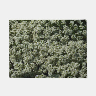 Felpudo Flores dulces de alyssum florales blancas