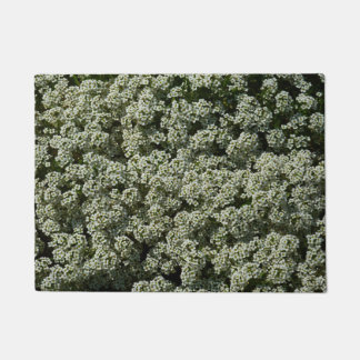 Felpudo Flores dulces de alyssum florales blancas
