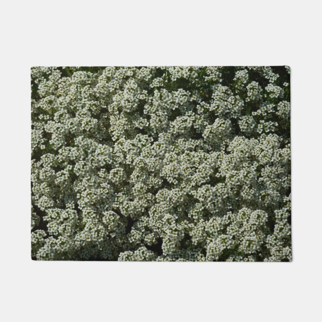 Felpudo Flores dulces de alyssum florales blancas (Anverso)