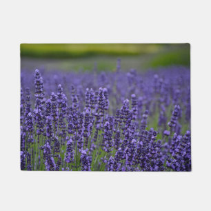 Felpudo Flores lavendar púrpuras bonitas
