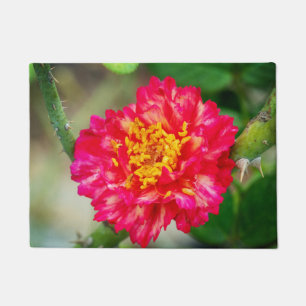 Felpudo Flores rojas rojas