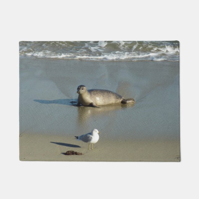 Felpudo Foca común en La Jolla California (Anverso)