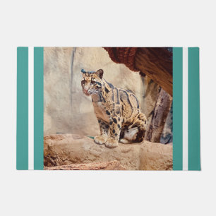 Felpudo foto de leopardo nebuloso naturaleza vida silvestr