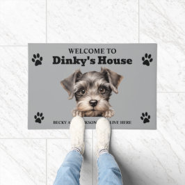 Felpudo Foto de perro lindo Schnauzer miniatura