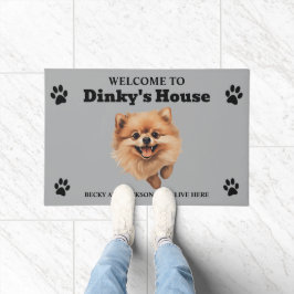 Felpudo Foto de perro pomerania lindo