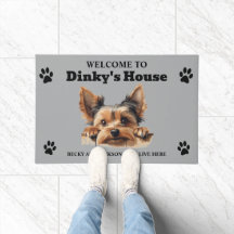 Foto de perro Yorkshire Terrier lindo