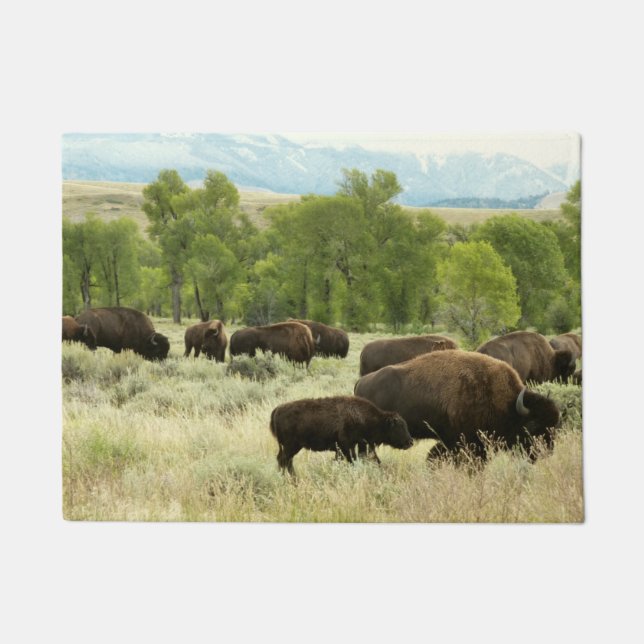 Felpudo Fotografía de animales de la naturaleza de Wyoming (Anverso)