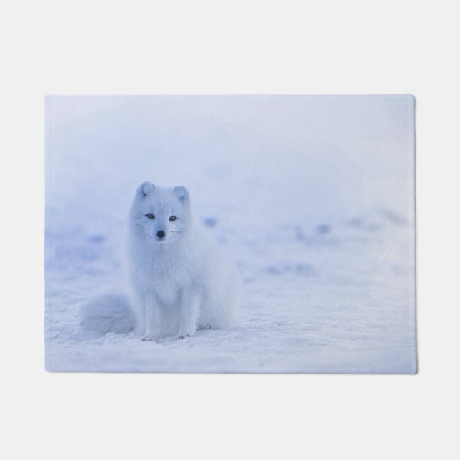 Felpudo Fox del Ártico de Islandia (Anverso)