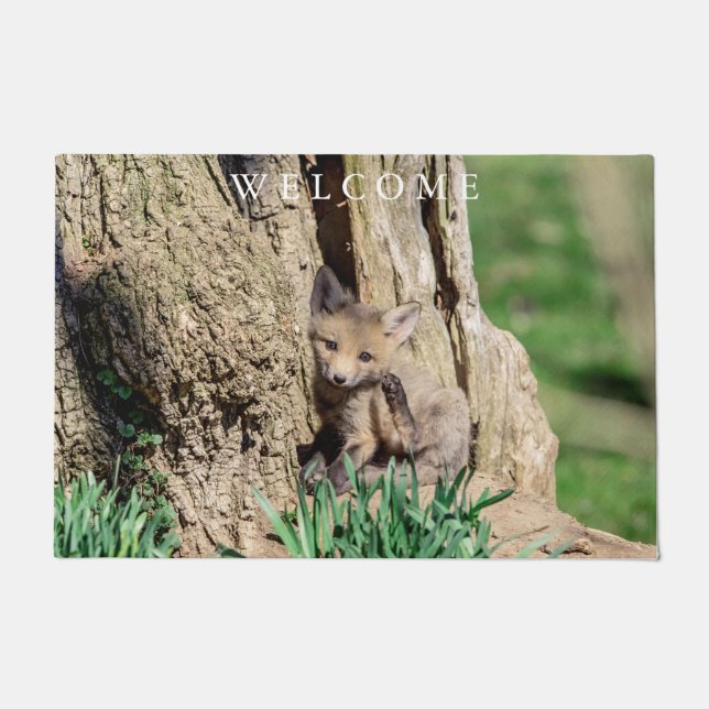 Felpudo Fox Kit en el Valle de Hudson (Anverso)