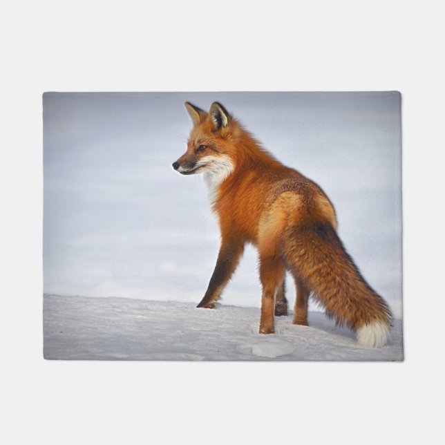 Felpudo Fox roja en nieve invernal (Anverso)