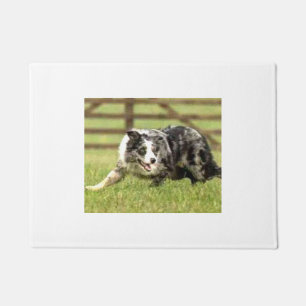 Felpudo Frontera azul Collie~Joe~Doormat de Merle