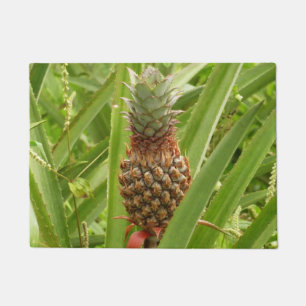 Felpudo Fruta tropical de la piña silvestre en la naturale