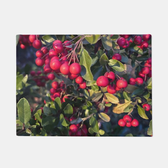 Felpudo Frutos del otoño (Anverso)