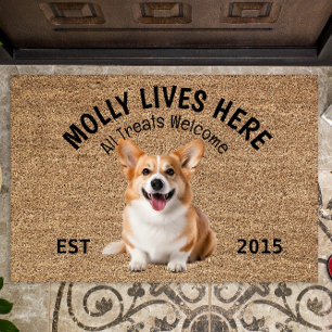 Felpudo Gales Corgi Personalizado Perro Perdedor Doormat