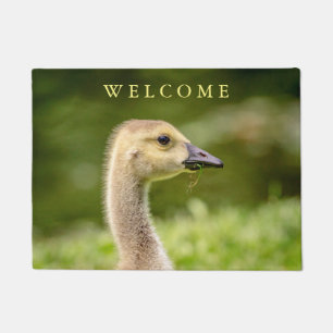 Felpudo Ganso Canadiense (Gosling)