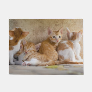 Felpudo Gatito de Atigrado Naranja y Blanco/Agrega la Foto