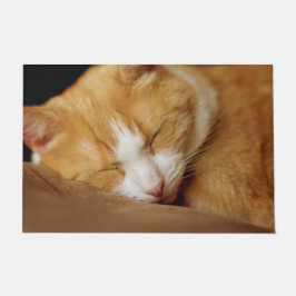 Felpudo Gatito durmiente