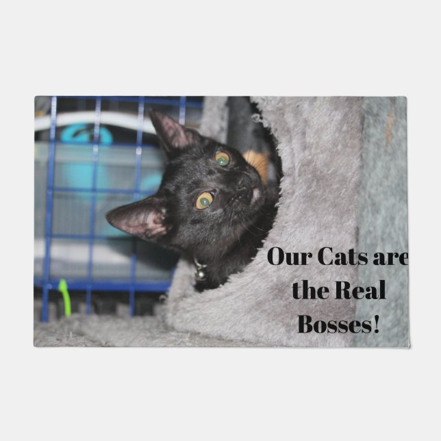 Felpudo Gato (Anverso)