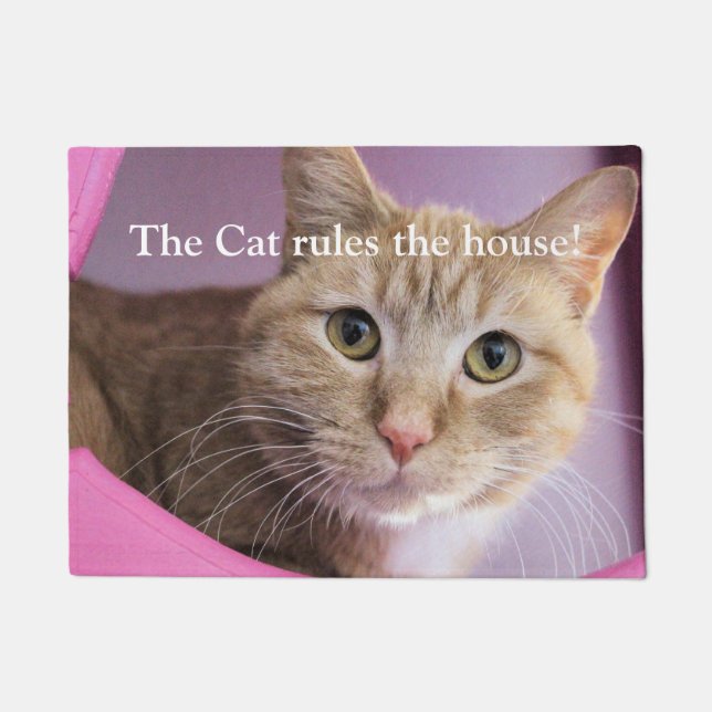 Felpudo Gato (Anverso)