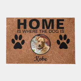 Felpudo Gato de perro en casa