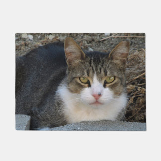Felpudo Gato de Tabby con Doormat de ojos verdes