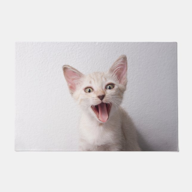 Felpudo Gato Divertido (Anverso)