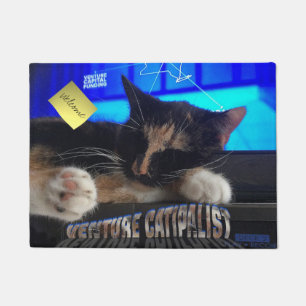 Felpudo Gato el dormir