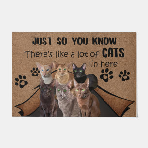 Felpudo Gato Lover Doormat, Gato Bienvenida Mat, Gracioso