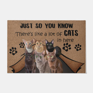 Felpudo Gato Lover Doormat, Gato Bienvenida Mat, Gracioso 