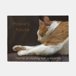 Felpudo Gato que duerme en el sofá