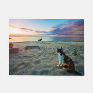 Felpudo Gato que se sienta en una playa