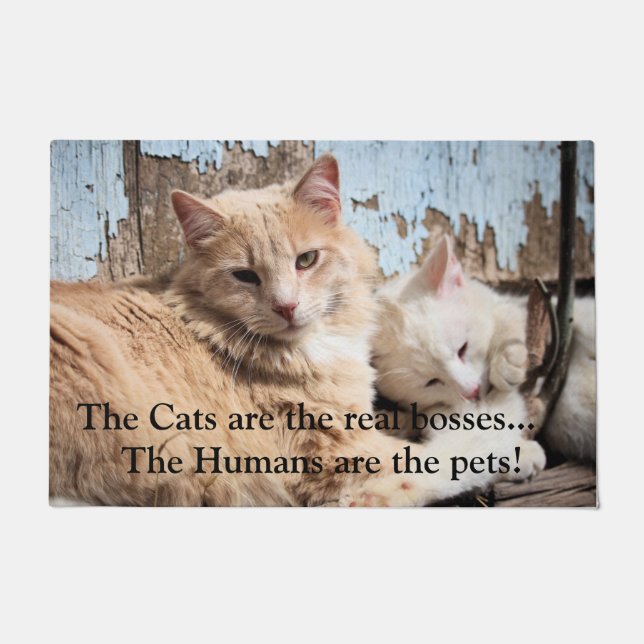 Felpudo Gatos (Anverso)