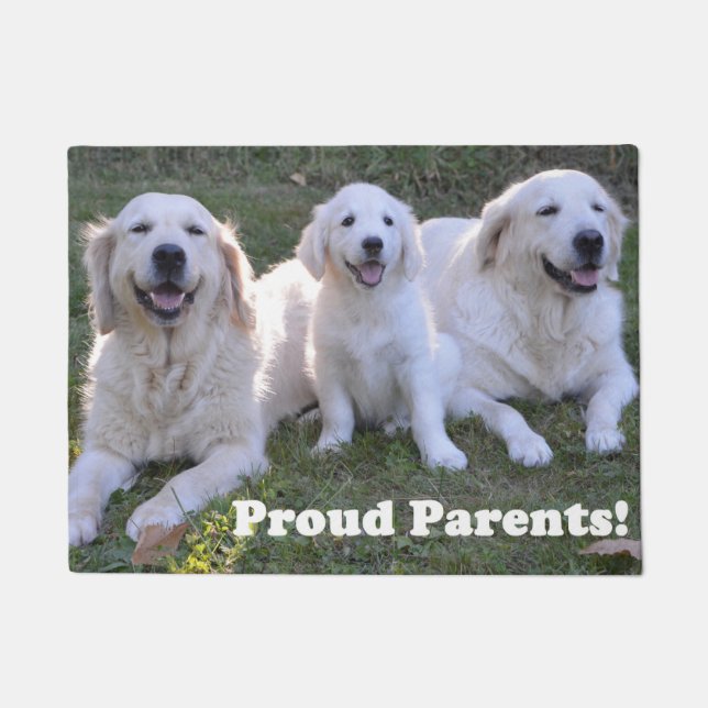Felpudo Golden Retriever Puppy con padres orgullosos (Anverso)