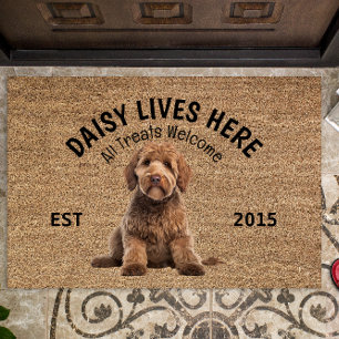 Felpudo Goldendoodle Personalizado Doormat Perro Enamorado