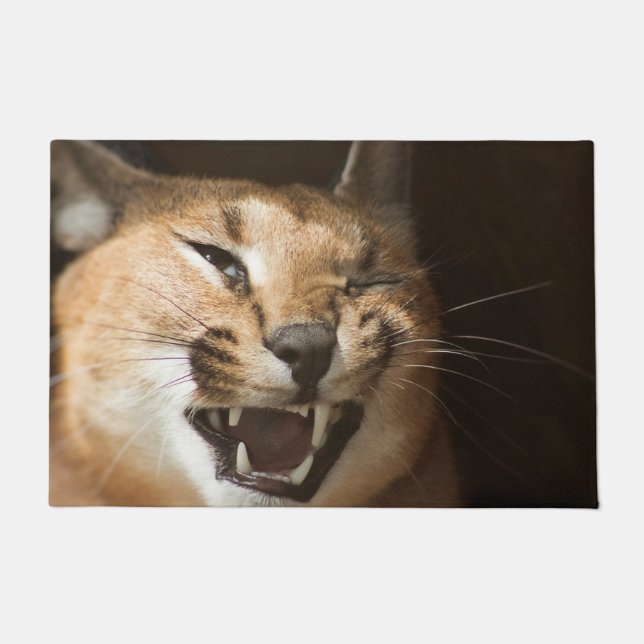 Felpudo Goofy Lynx (Anverso)