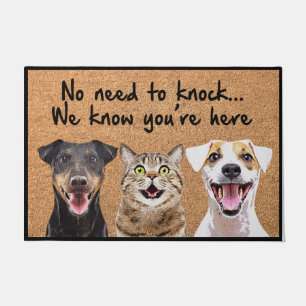 Felpudo Gracioso Perro Y Gato Doormat, Cuidada Mascota Al