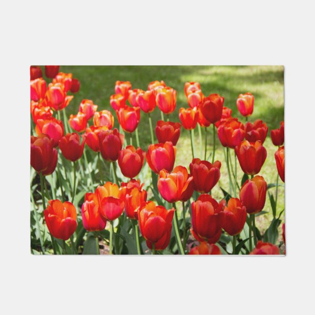Felpudo Gran campo de tulipanes rojos (Anverso)