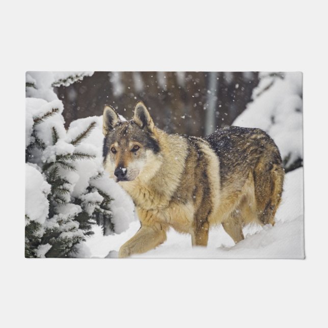 Felpudo Gran Hermoso Lobo Gris Salvaje en la nieve (Anverso)
