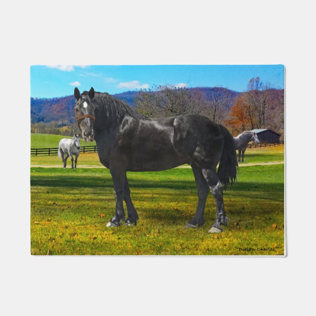 Felpudo "Gran Sam" Doormat (Anverso)