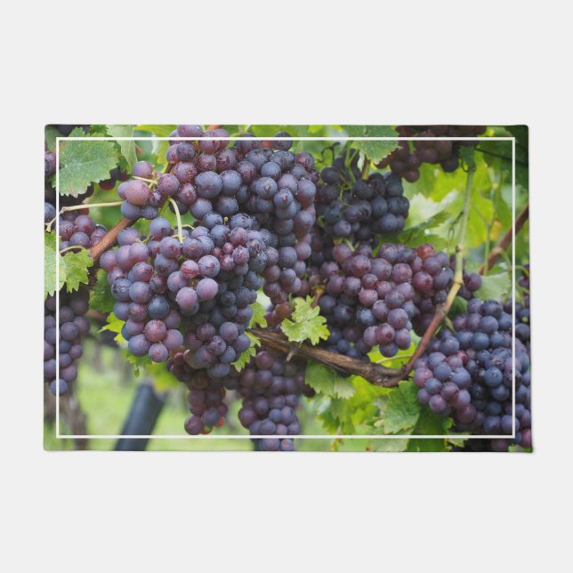 Felpudo Grapes Door Mat (Anverso)