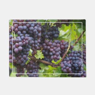 Felpudo Grapes Door Mat