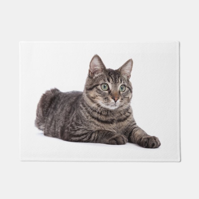 Felpudo Gray Tabby Cat (Anverso)