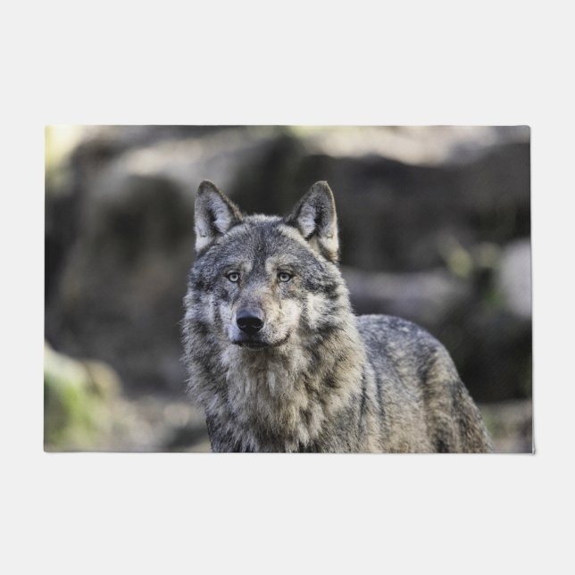 Felpudo Gray Wolf (Anverso)