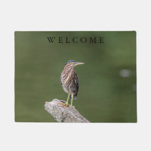 Felpudo Green Heron en un blog