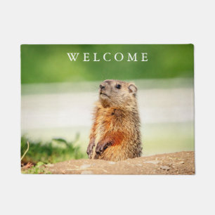 Felpudo Groundhog joven