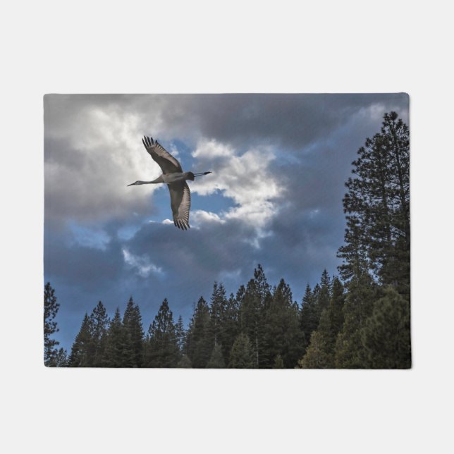 FELPUDO GRÚA DE SANDHILL (Anverso)